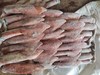 5号海钓鲜鱿鱼5千克 商品缩略图1