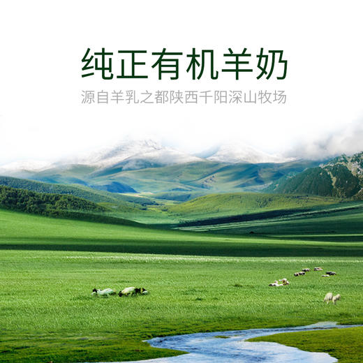 添葆有机纯羊奶粉高钙成人中老年女士儿童学生奶粉800克z 商品图3