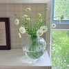 【特惠清仓，仅2件，无货退款】透明肌理玻璃花瓶轻奢高级感摆件客厅玄关插花水培花器家居装饰品晶尊风语花瓶小号21cm（透明） 商品缩略图2