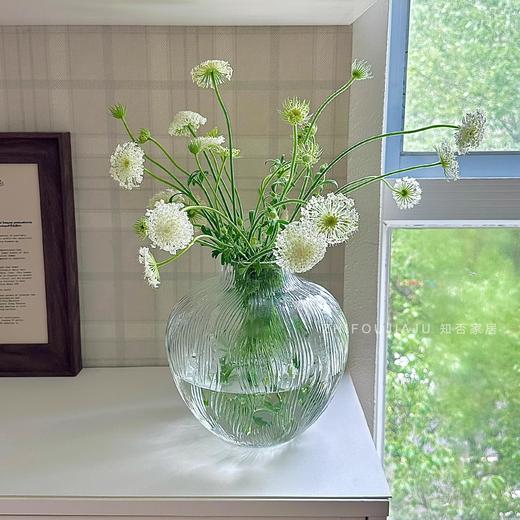 【特惠清仓，仅2件，无货退款】透明肌理玻璃花瓶轻奢高级感摆件客厅玄关插花水培花器家居装饰品晶尊风语花瓶小号21cm（透明） 商品图2