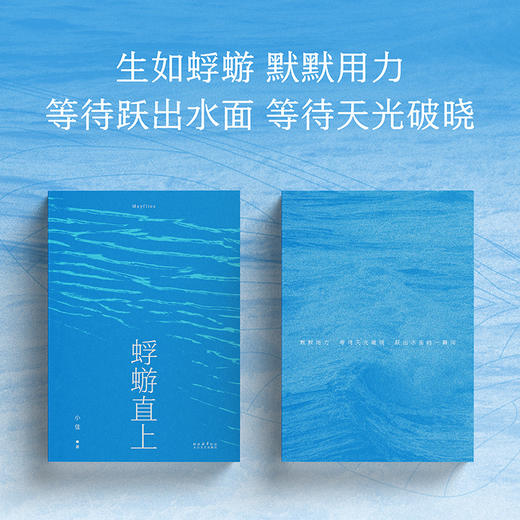 蜉蝣直上  脱口秀演员小佳首部散文集，生如蜉蝣，默默用力，冲破天光 商品图3