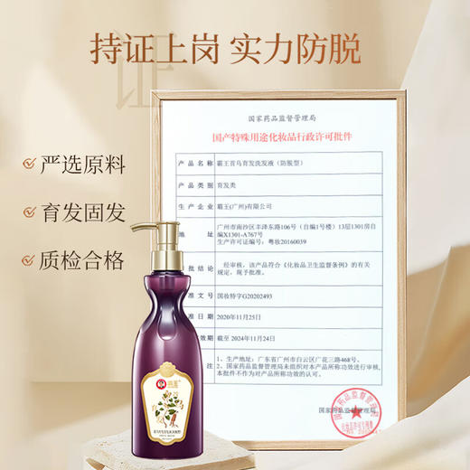 霸王首乌育发洗发水防脱型毛囊浓密控油蓬松防脱发萃取精华育发液 商品图2