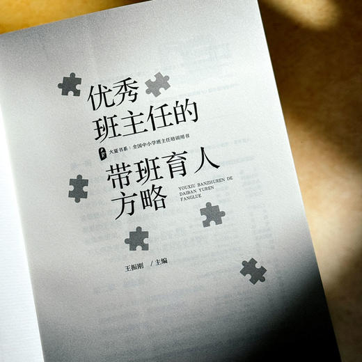 优秀班主任的带班育人方略 王振刚 大夏书系 班主任培训用书 商品图5