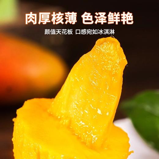 挂树上的彩虹！海南贵妃芒 皮薄肉厚 果香超浓郁 商品图6