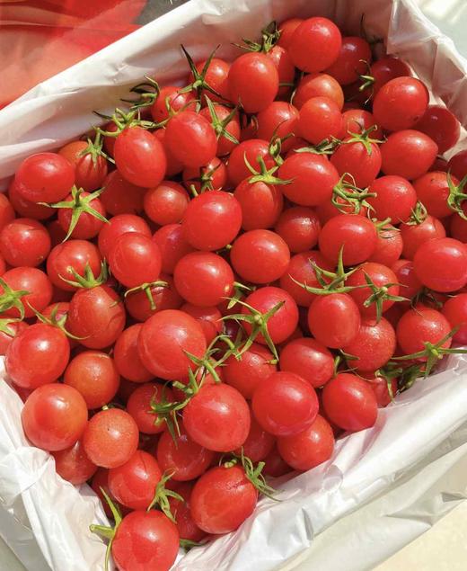 千禧柿子 商品图3