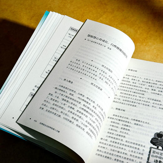 优秀班主任的带班育人方略 王振刚 大夏书系 班主任培训用书 商品图9