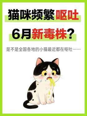 猫咪呕吐怎么办❓一分钟教你分辨呕吐物