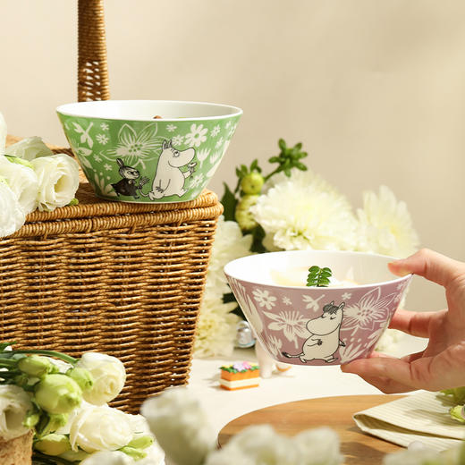 姆明复古骨瓷盘碗|三次煅烧更耐用，可蒸可烤可微波 商品图0