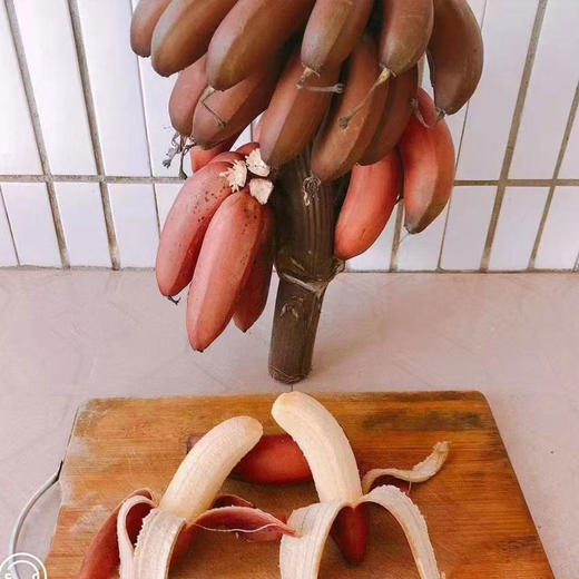 福建红皮美人蕉软糯香甜高品质 商品图3