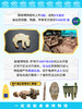 EZ | 【殷墟博物馆】通用版电子看展手册（56页PDF） 商品缩略图3