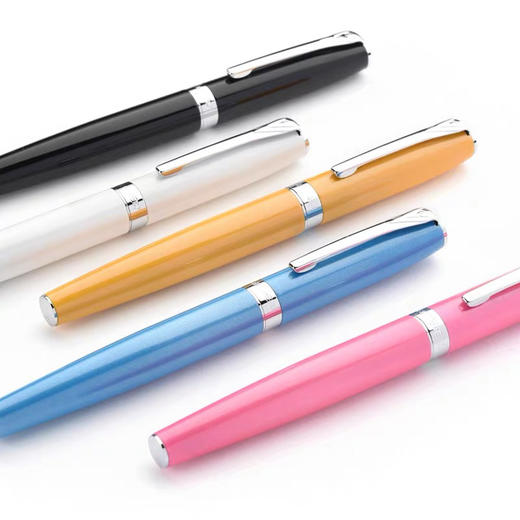 花花公子钢笔（笔杆颜色随机） 商品图0