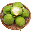 【脆甜多汁，果肉圆润饱满】陕西早酥梨新鲜青皮梨子 当季时令孕妇水果 一整箱包邮-QA 商品缩略图3