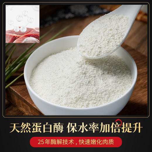【试用/体验装】腌肉粉/腌鱼粉 商品图2