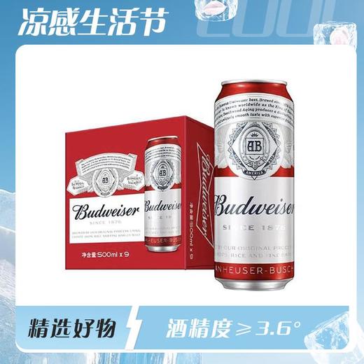 百威啤酒500ml*9/件 商品图0