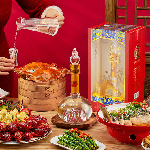 45度西凤酒华山论剑（10）500ml 单瓶 商品图3