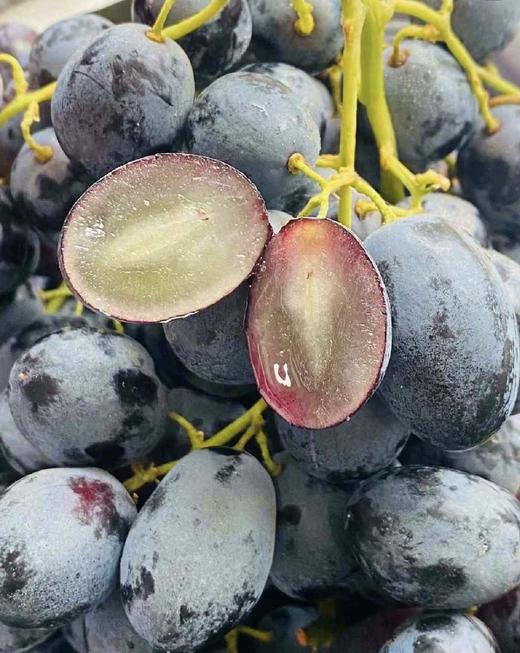 玫瑰香葡萄 商品图0