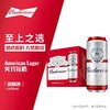 百威啤酒500ml*9/件 商品缩略图1
