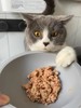 【猫咪鲜粮总汇】8拼主食鲜粮湿粮100克一包装/制熟发货常温保存开袋即食 商品缩略图1