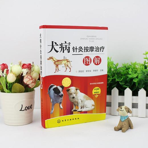 犬病针灸按摩治疗图解 商品图1