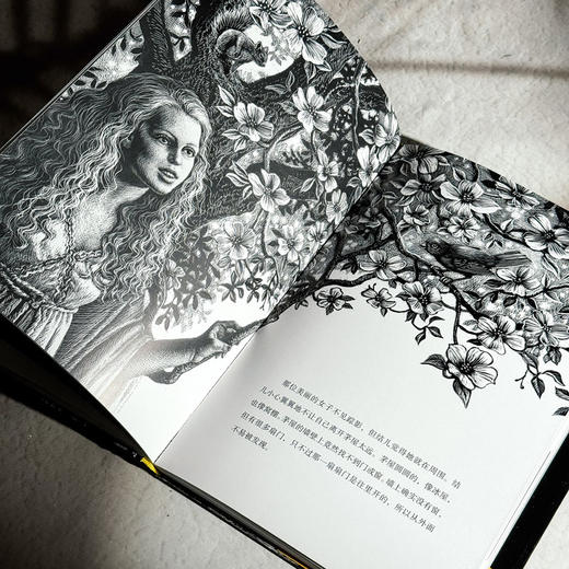 金钥匙 乔治·麦克唐纳传世经典 精美插画展现光影传说 商品图9