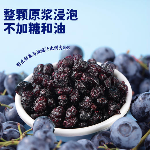 西域美农 蓝莓果干 野生蓝莓果干 配料仅有蓝莓果和蓝莓浓缩汁  富含花青素  90g  顺丰发货 商品图12