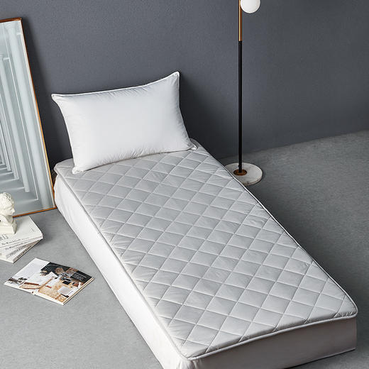 【6F】梦洁宝贝抗菌两用四季学生床垫 90*195 商品图0