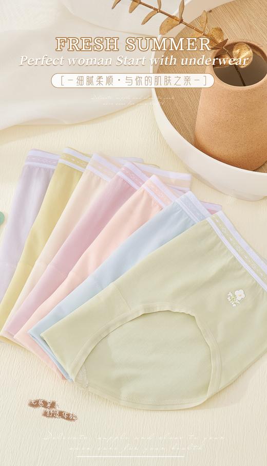 女士彩色腰头撞色无缝内裤3293 商品图1