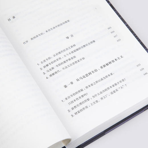 杨照《认识现代社会之真相：杨照讲马克斯·韦伯》 商品图4