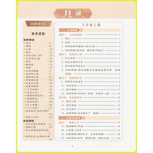 2025秋 南大励学初中文言文进阶阅读七八九年级全一册文言文进阶专项训练阅读书逐句注解完全解读 商品图2