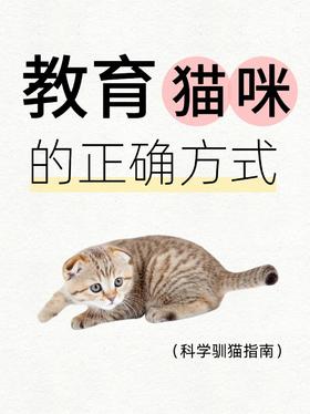 正向引导+行为塑造可以培养乖巧懂事的猫！