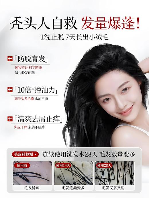 【控油防脱 拯救发际线】LUCENBASE透真防脱固发洗发水 500ml 商品图4