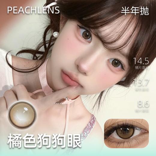 胶原棕 半年抛 商品图0