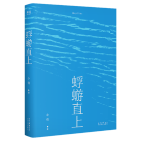 蜉蝣直上  脱口秀演员小佳首部散文集，生如蜉蝣，默默用力，冲破天光
