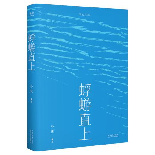 蜉蝣直上  脱口秀演员小佳首部散文集，生如蜉蝣，默默用力，冲破天光 商品图0