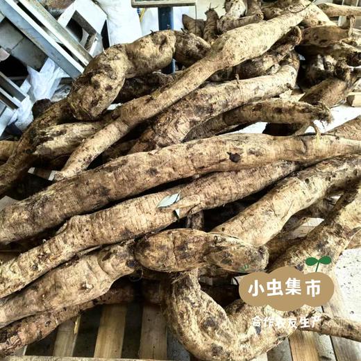 山野采集葛根茶 250g/罐 | 合作农友生产，产自湖北荆门，生产者：阳春府 ＆【公平贸易农人定价】 商品图5
