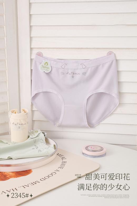 女士小猫印花卡通无缝内裤2345 商品图2