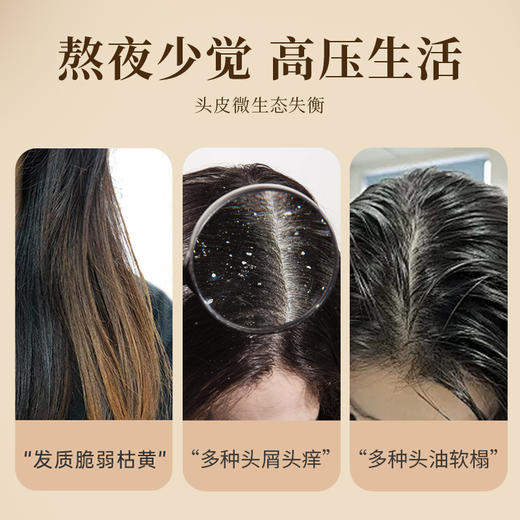 热卖中！！【全国百强医药连锁在售 有机认证！】百想茶麸何首乌草本洗发露 6重植物萃取 山茶籽 何首乌 侧柏叶 无患子 当归 生姜 清洁油脂 天然抗菌 去屑滋养毛囊，改善白发，增强发丝韧性男女适用 商品图1