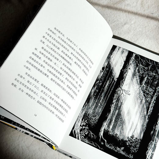 金钥匙 乔治·麦克唐纳传世经典 精美插画展现光影传说 商品图8