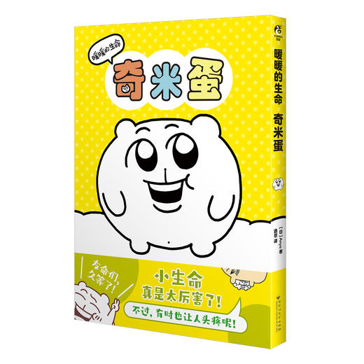 网红IP奇米蛋实体漫画：暖暖的生命奇米蛋（随书赠品：贴纸×1+画卡×3）Anya绘 商品图10