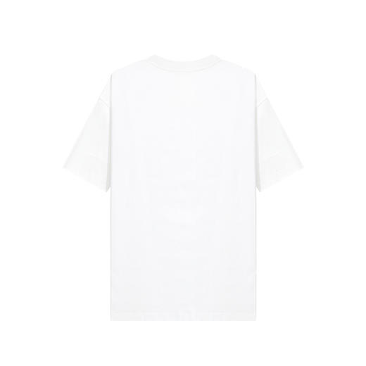 【断码清仓】HX 夏季圆领短袖T恤微宽松C102520144101/02 商品图3