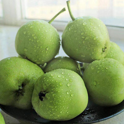 【脆甜多汁，果肉圆润饱满】陕西早酥梨新鲜青皮梨子 当季时令孕妇水果 一整箱包邮-QA 商品图2