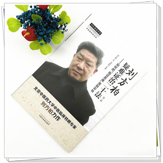 刘方柏疑难证治二十法:如何把“临床思维”落到实处（第二版）刘方柏 著 中国中医药出版社 中医师承学堂 临床书籍 商品图1