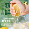 【王饱饱冷榨柠檬液】600g*2盒 1条满足全天VC 清新爽口 商品缩略图4