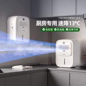 德国蓝宝第二代厨房冰雾扇家用小空调制冷电风扇壁挂新款冰厨宝X6