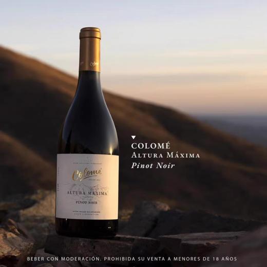 【Colomé】佳乐美世界之巅黑皮诺干红 高分酒 来自全球海拔醉 高的阿根廷3111米葡萄园 年产量仅20小桶（225L）出口中国配额非常少  彰显品质与攀登高峰的决心和精神 年份随机 偏远地区不发 商品图4