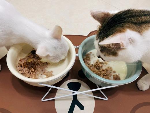 【猫咪鲜粮总汇】8拼主食鲜粮湿粮100克一包装/制熟发货常温保存开袋即食 商品图4