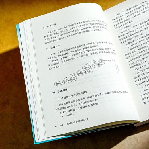 优秀班主任的带班育人方略 王振刚 大夏书系 班主任培训用书 商品图8