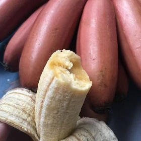 福建红皮美人蕉软糯香甜高品质