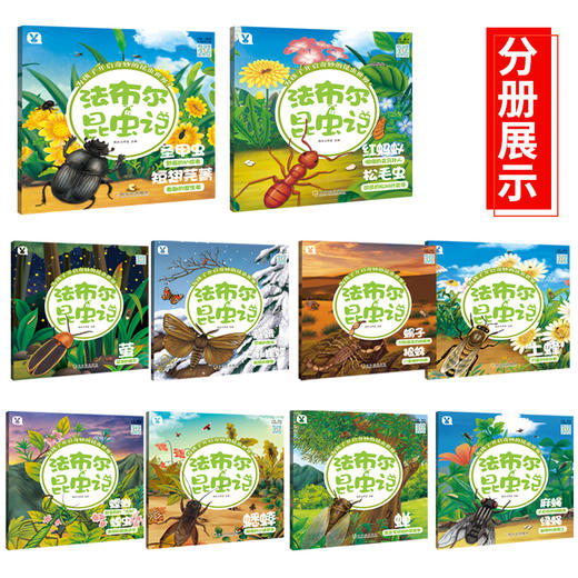 法布尔昆虫记套装(全10册)3-9岁盒装科普百科 商品图2
