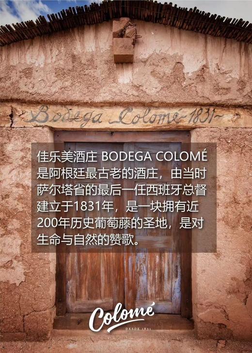 【Colomé】佳乐美世界之巅长相思干白 高分酒 来自全球海拔醉 高的阿根廷3111米葡萄园 少量出口中国配额  彰显品质与攀登高峰的决心和精神 年份随机发货 偏远地区不发或联系客服 商品图1